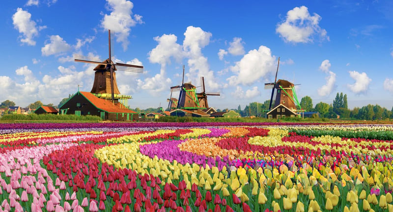 Zaanse-Schans-