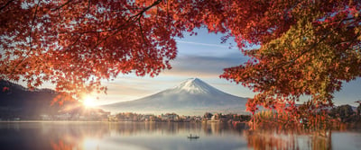 Japón y Países Bajos: destinos que redefinen la experiencia de convenciones