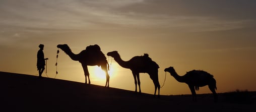 GettyImages-174634729 1