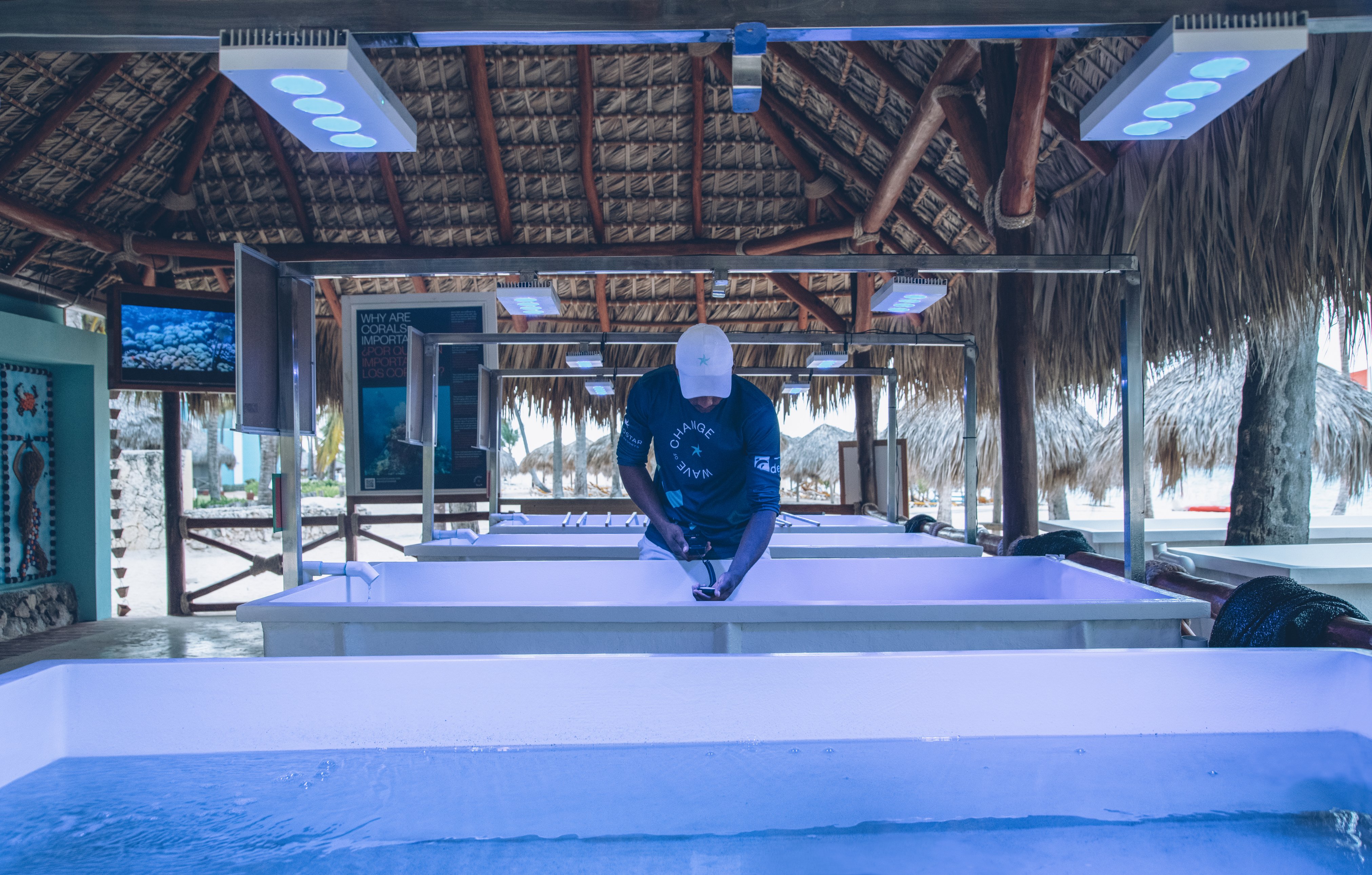 Wave of Change en Iberostar y turismo sustentable