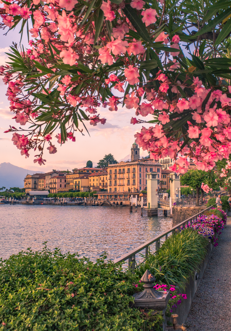 como-italia-landing