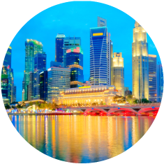 ico-singa ico-singa
