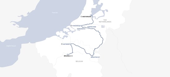 tulipanes