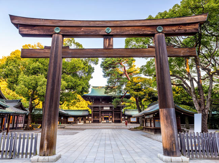 03-Jan-03-2025-03-17-17-5019-PM