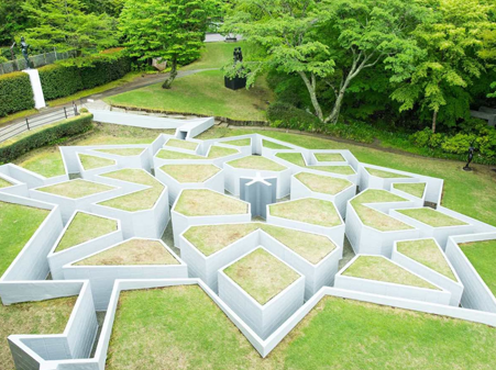 06-Jan-03-2025-03-17-17-6331-PM