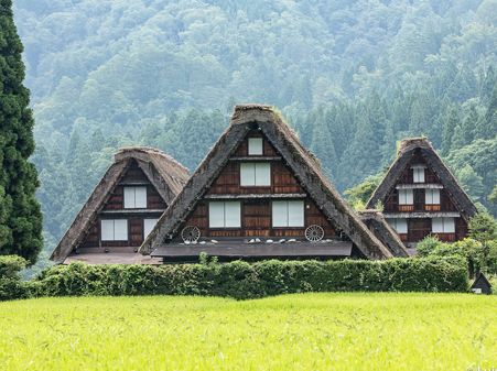 08-Jan-03-2025-03-17-17-6248-PM