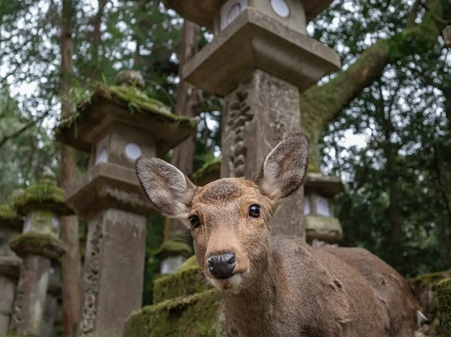 12-Jan-03-2025-03-17-17-6169-PM