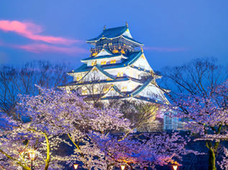 14-Dec-12-2024-07-54-29-2663-PM