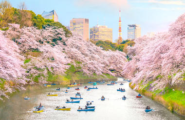 tokyo-shutterstock-1017749740